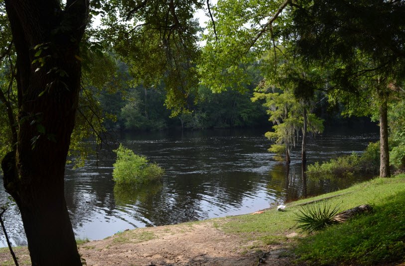 Givhans Ferry State Park, South Carolina, USA